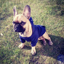 Load image into Gallery viewer, Dog Hoodie in Navy Blue.
