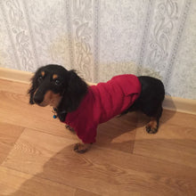 Load image into Gallery viewer, Dog Hoodie in Red.
