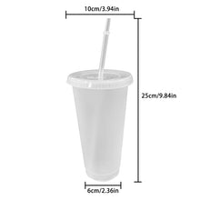 Load image into Gallery viewer, Frosted cold cup with lid and straw.
